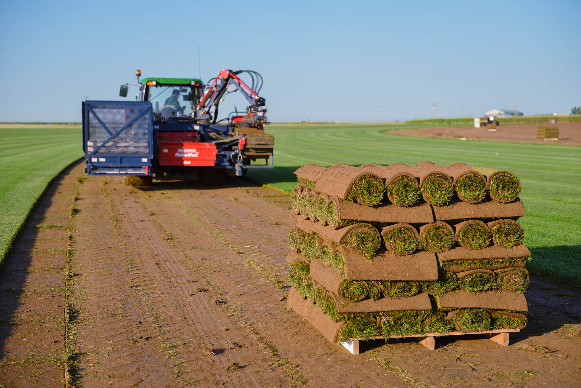 Our Sod Farm Near Denver for Over 50 Years - About Us | ScienTurfic Sod