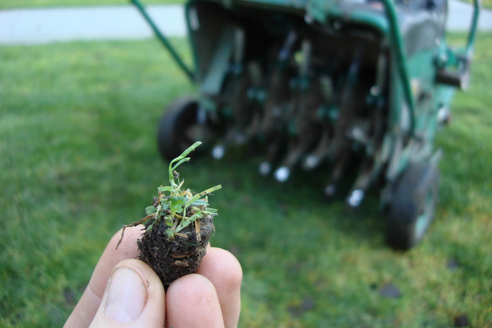 Aerating grass in spring discount
