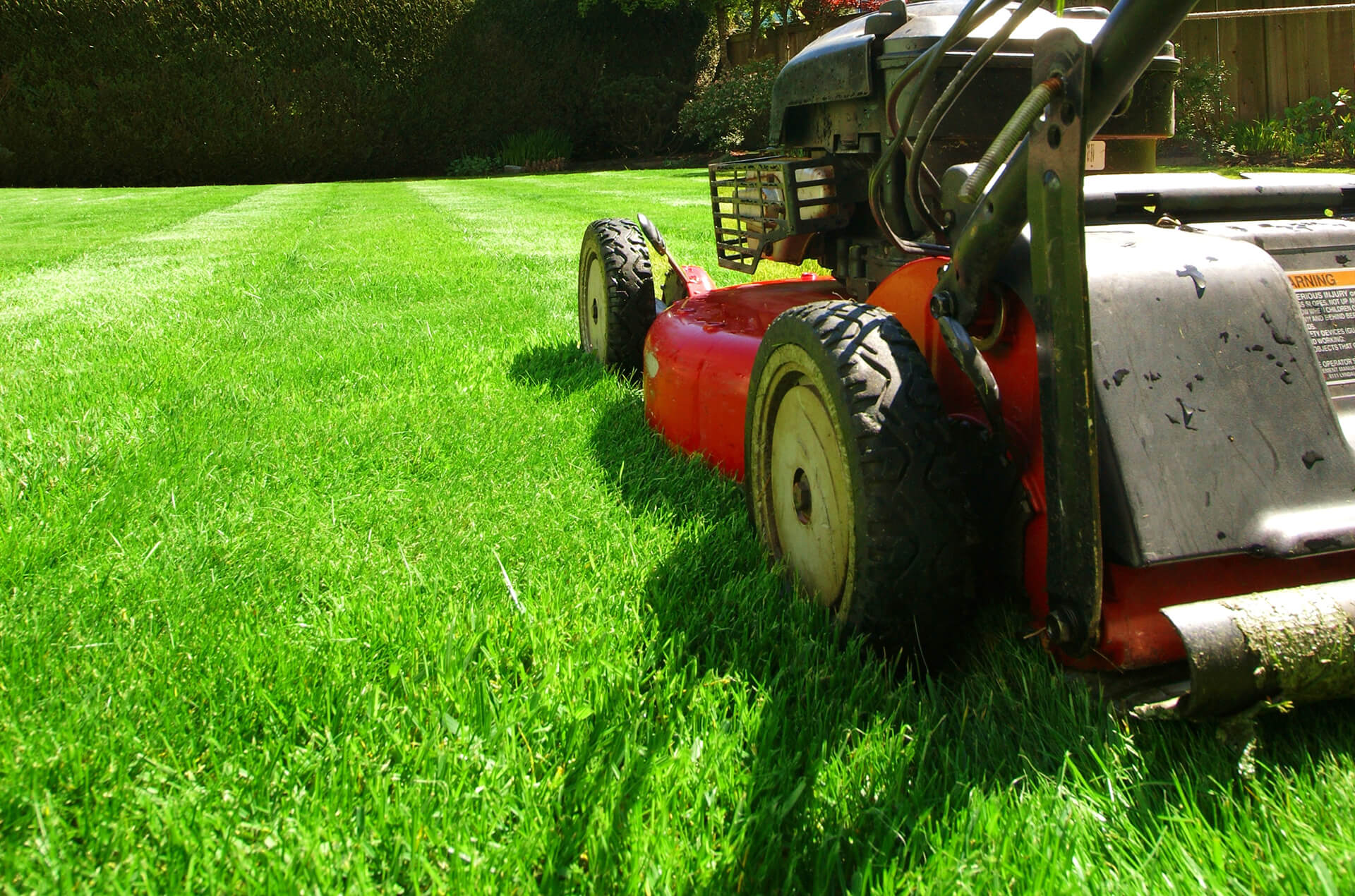 Recycle Your Lawn, Do Not Bag Mowing Sod Resources ScienTurfic Sod