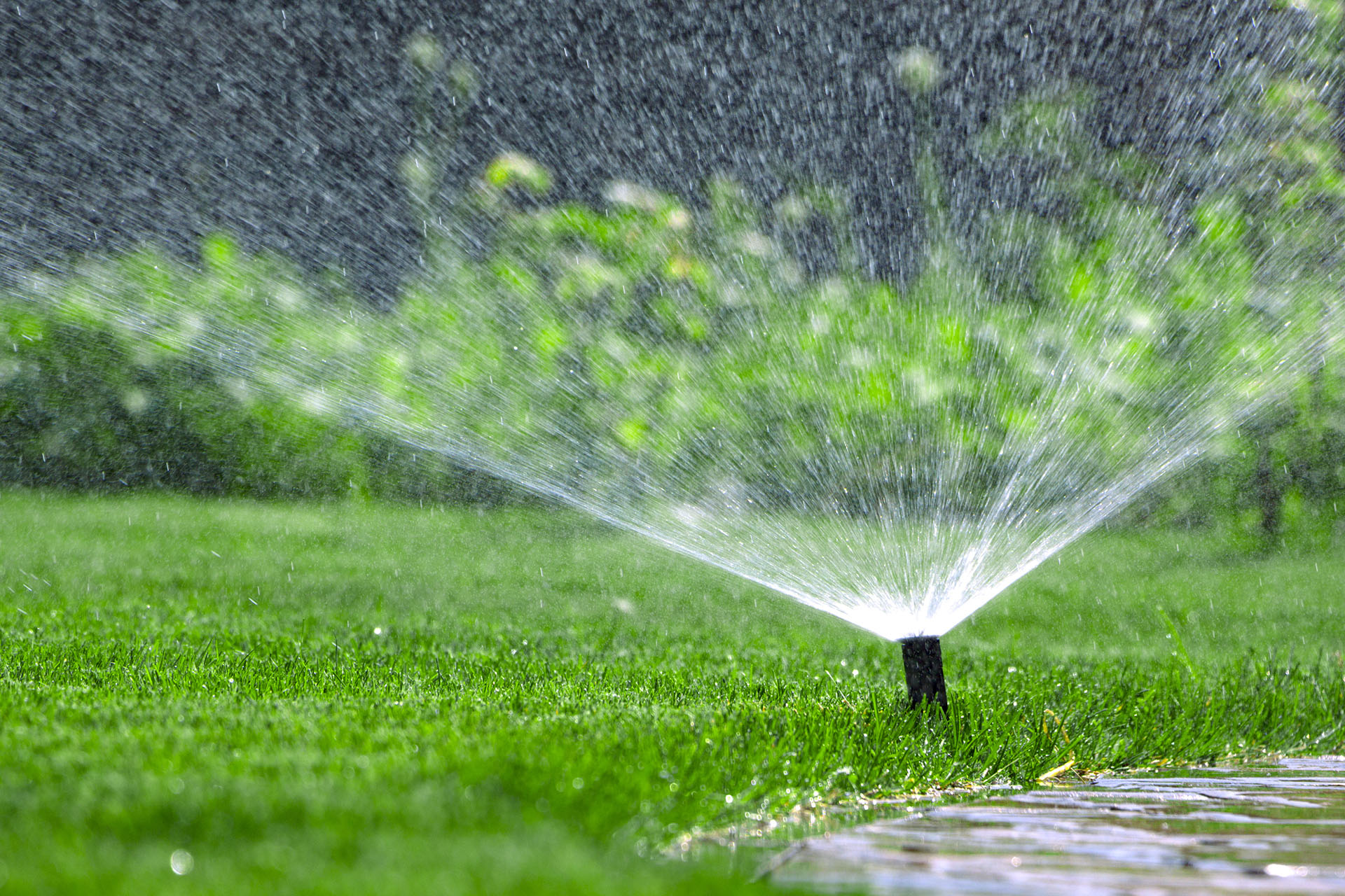 How to Water Your New Lawn NewLawn Sod Resources ScienTurfic Sod