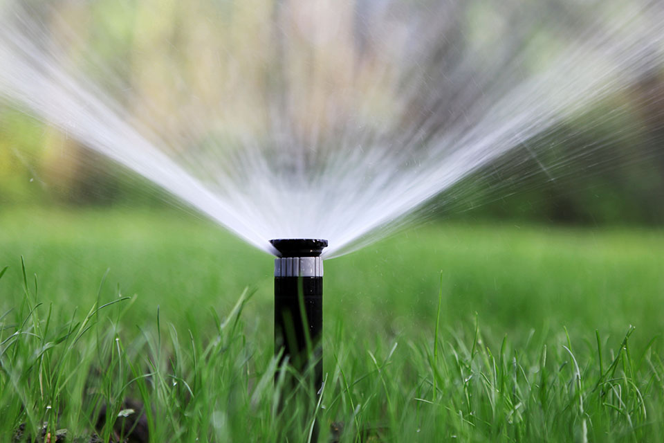 Lawn care tips watering a new lawn