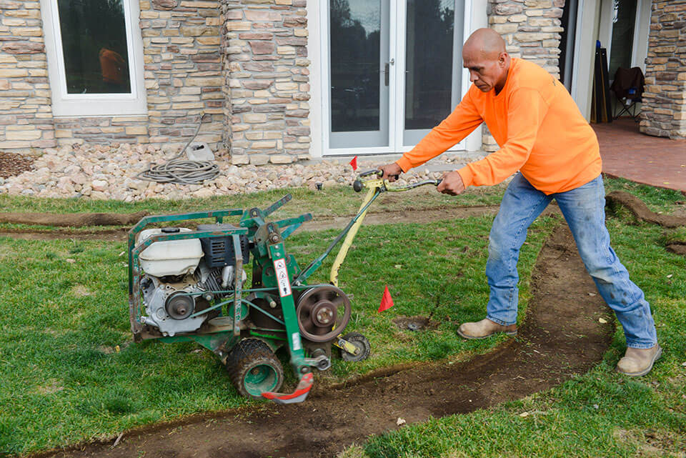 sod installation