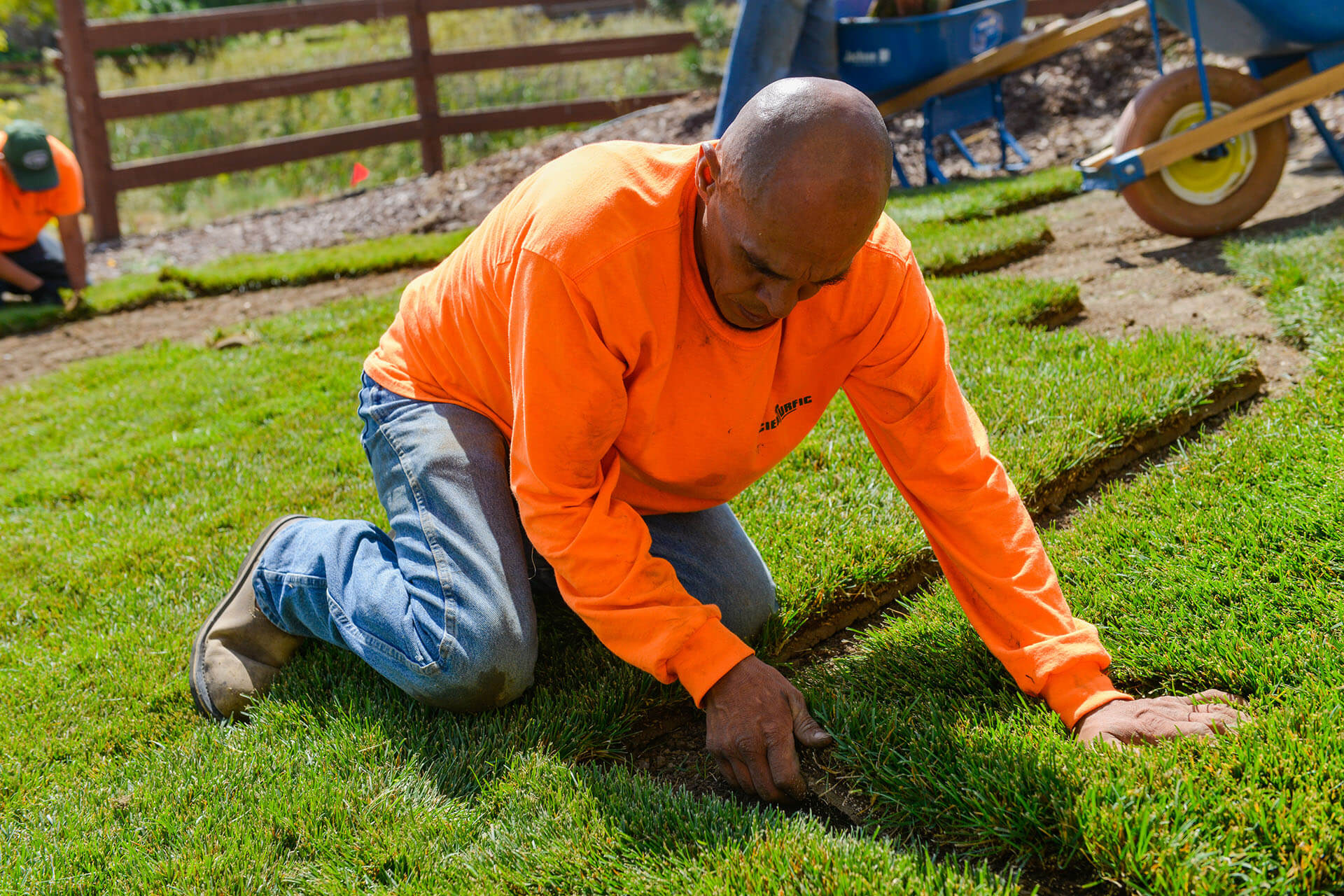 sod installation