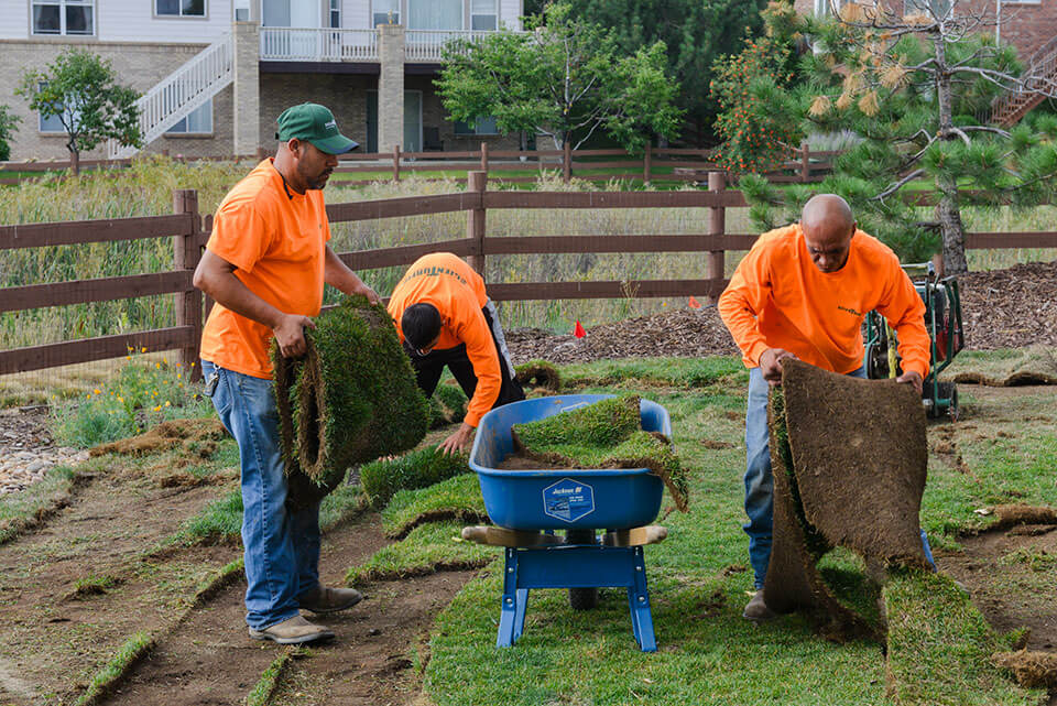 sod installation