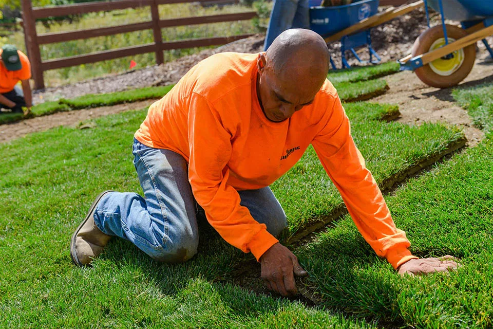 Sod installation